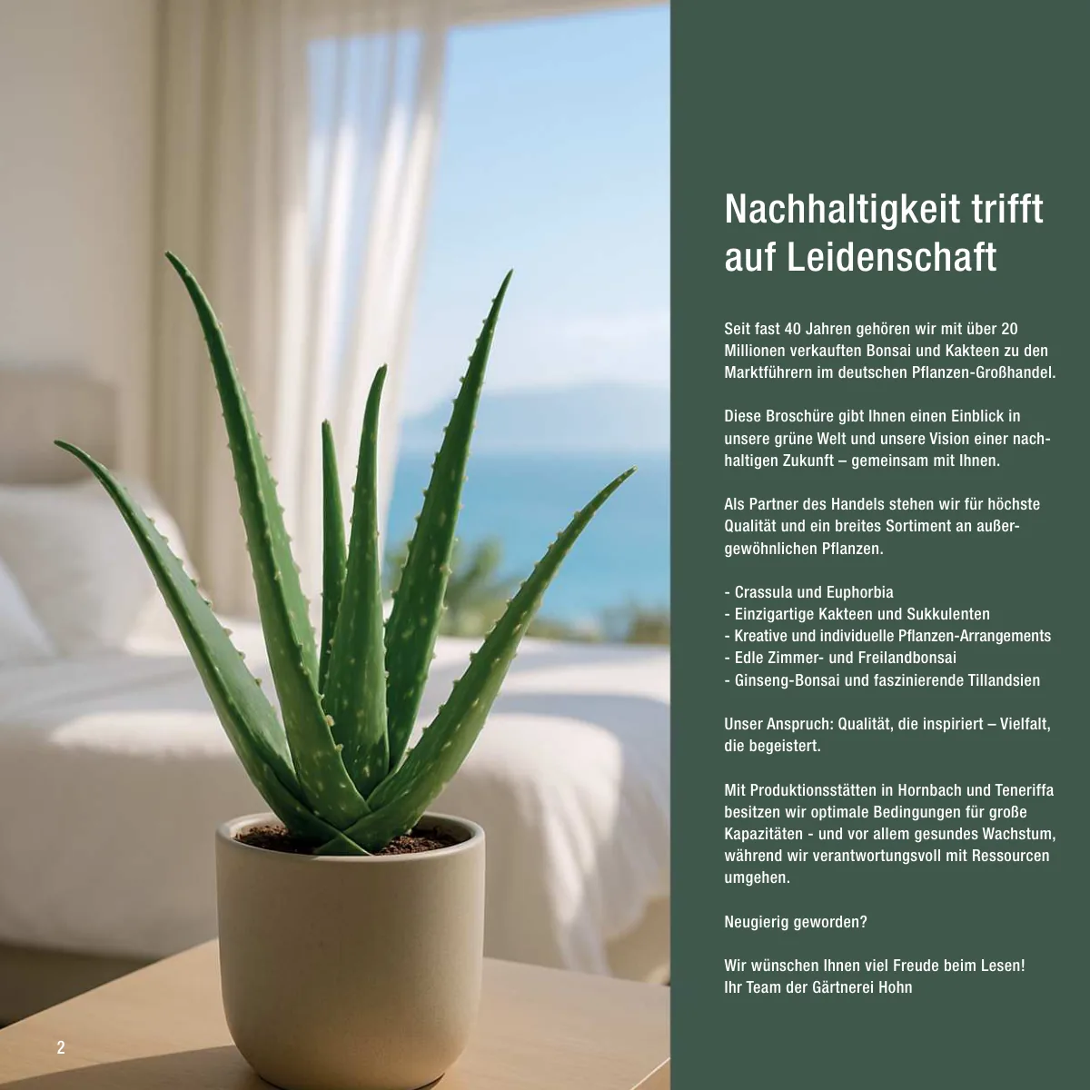 Seite 2 der Imagebroschüre