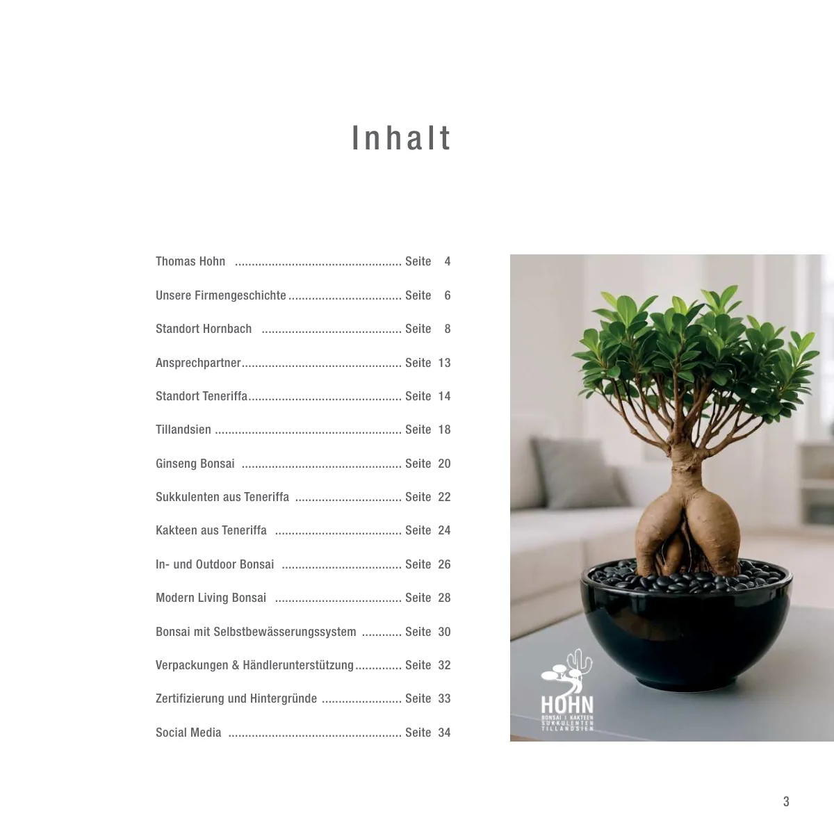 Seite 3 der Imagebroschüre: Inhalt