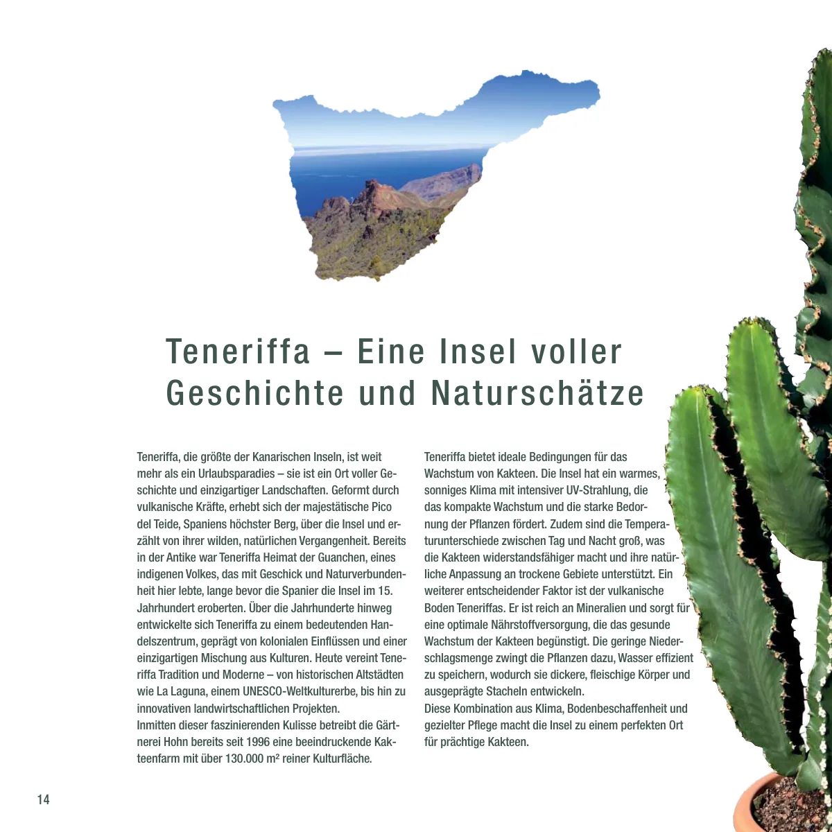 Seite 14 der Imagebroschüre: Teneriffa — eine Insel voller Geschichte und Naturschätze