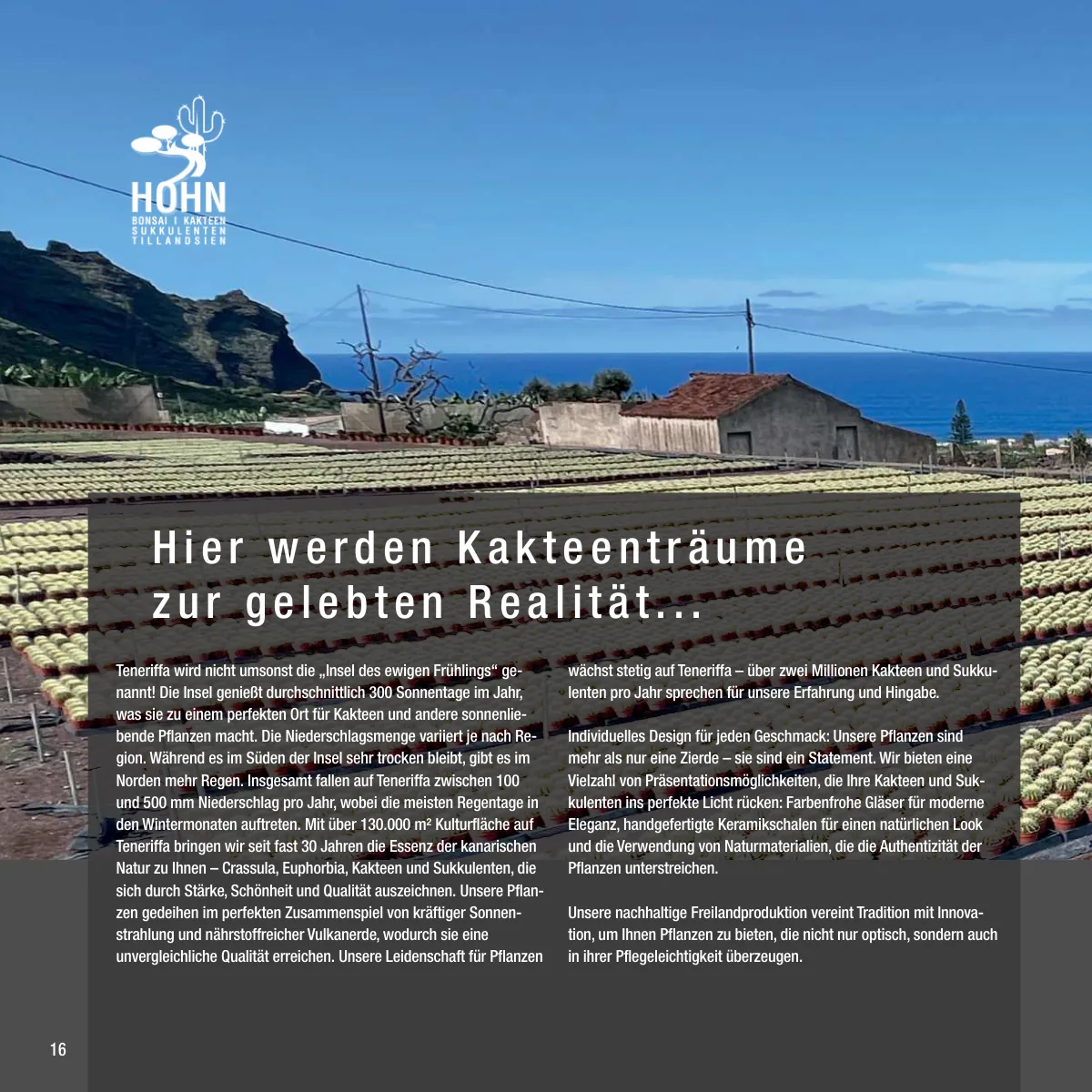 Seite 16 der Imagebroschüre: Kakteenträume auf Teneriffa
