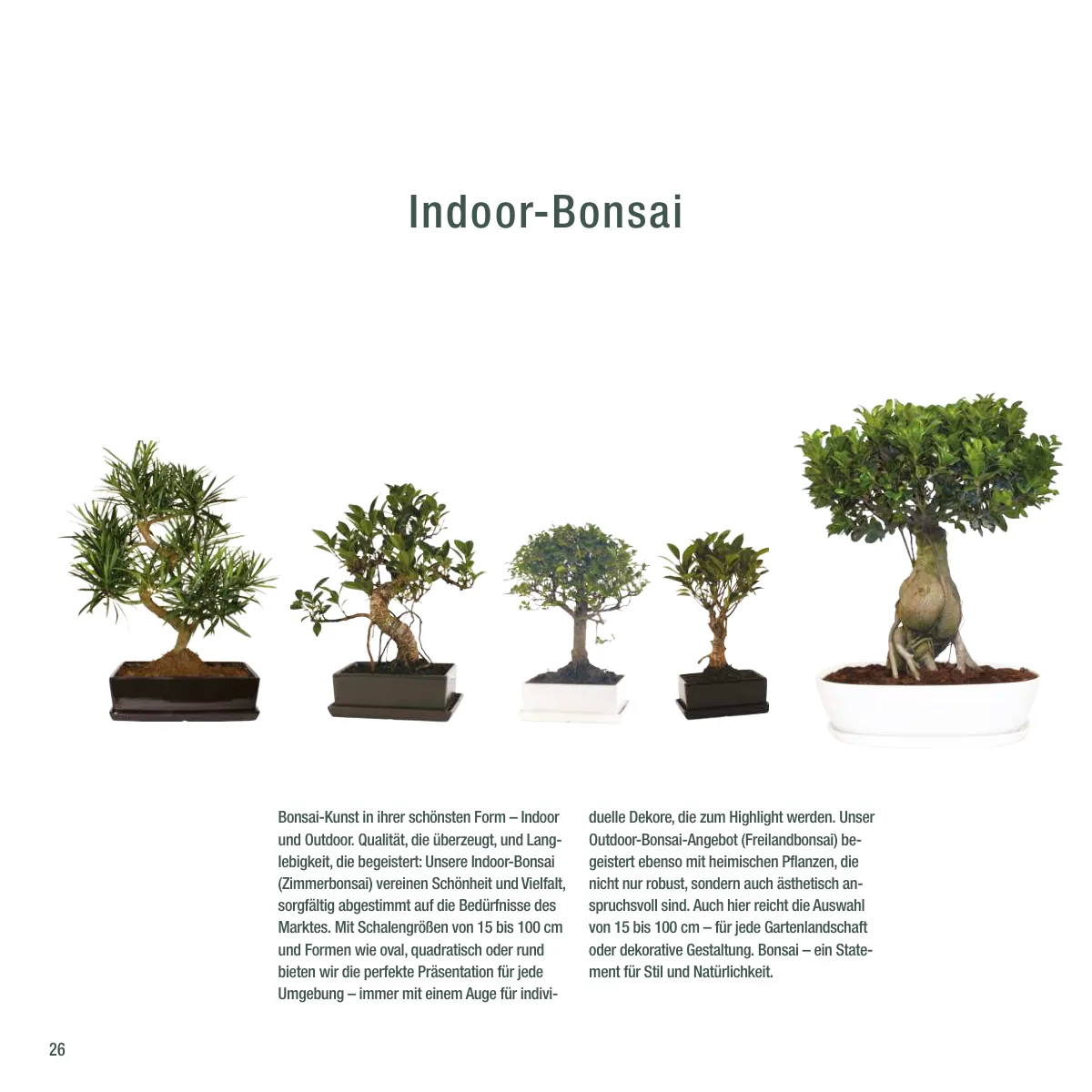 Seite 26 der Imagebroschüre: Indoor-Bonsai