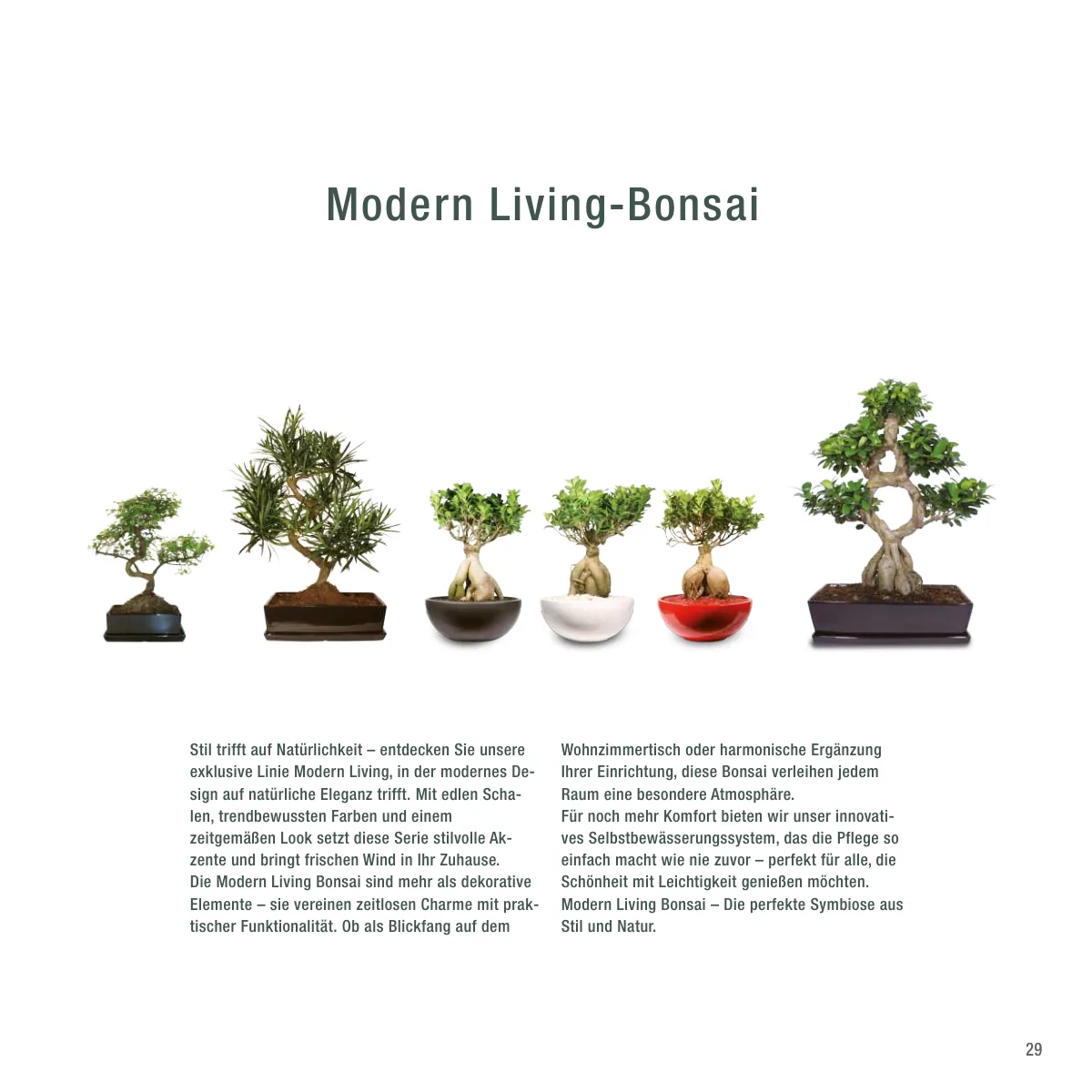 Seite 29 der Imagebroschüre: Modern Living-Bonsai