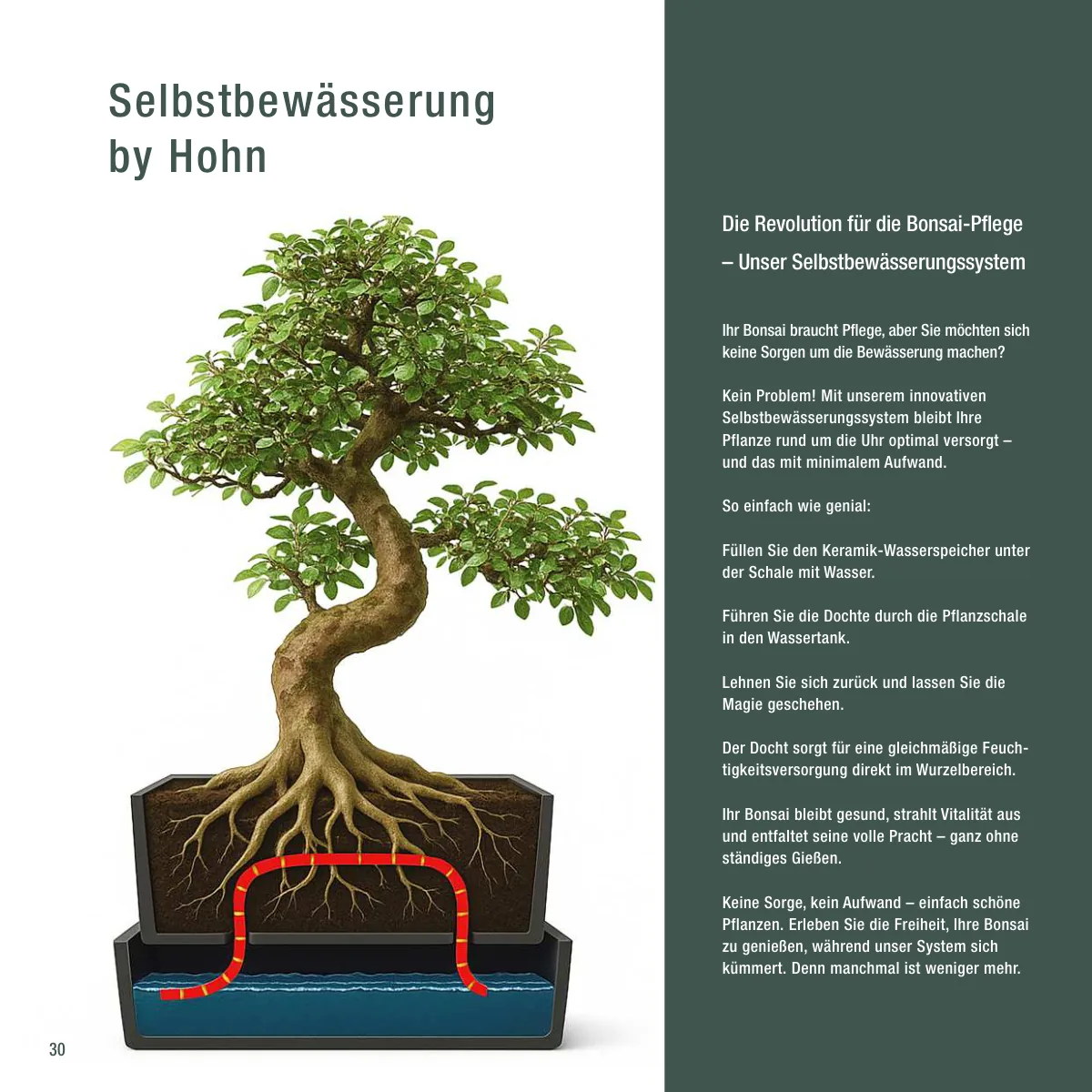 Seite 30 der Imagebroschüre: Selbstbewässerung by Hohn