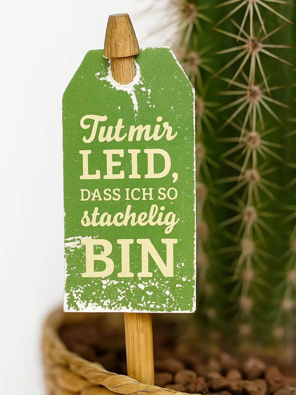 Etikett der Gärtnerei Hohn an einer Pflanze