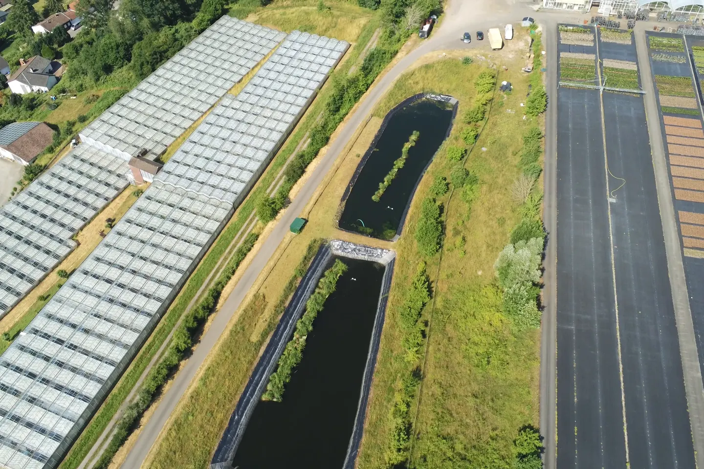Gewächshausdächer der Gärtnerei Hohn aus der Luft, daneben ein Wasserbecken zur Regenwassernutzung.