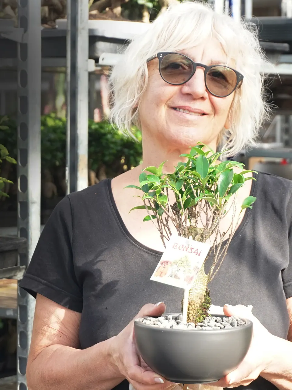Eine Mitarbeiterin der Gärtnerei Hohn bei der Arbeit an einem Bonsai