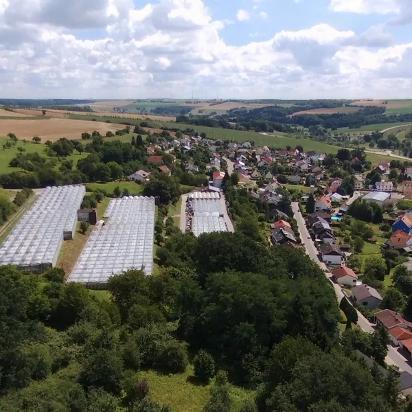 Die Gärtnerei Hohn heute, aus der Luft: Gewächshäuser und Kulturflächen, dahinter der Ort Hornbach.